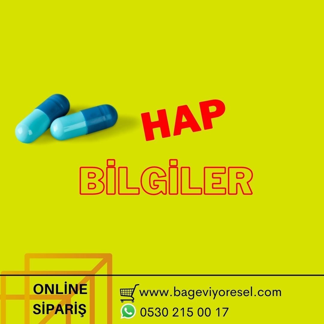 HAP BİLGİLER