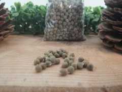 Doğal Bamya Tohumu 100 Gr