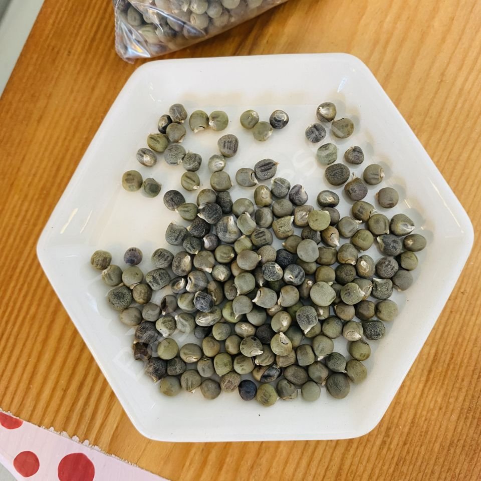 Doğal Bamya Tohumu 100 Gr