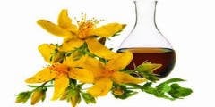 Sarı Kantaron Yağı 100 ml