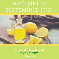 Ev yapımı Limon Sirkesi( Maydanozlu- Sarımsaklı) 500 ml