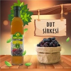 Dut Sirkesi