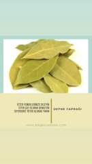DEFNE YAPRAĞI 30 GR/ yeni sezon