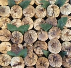 Kuru Dağ İnciri 180gr (AYDIN)