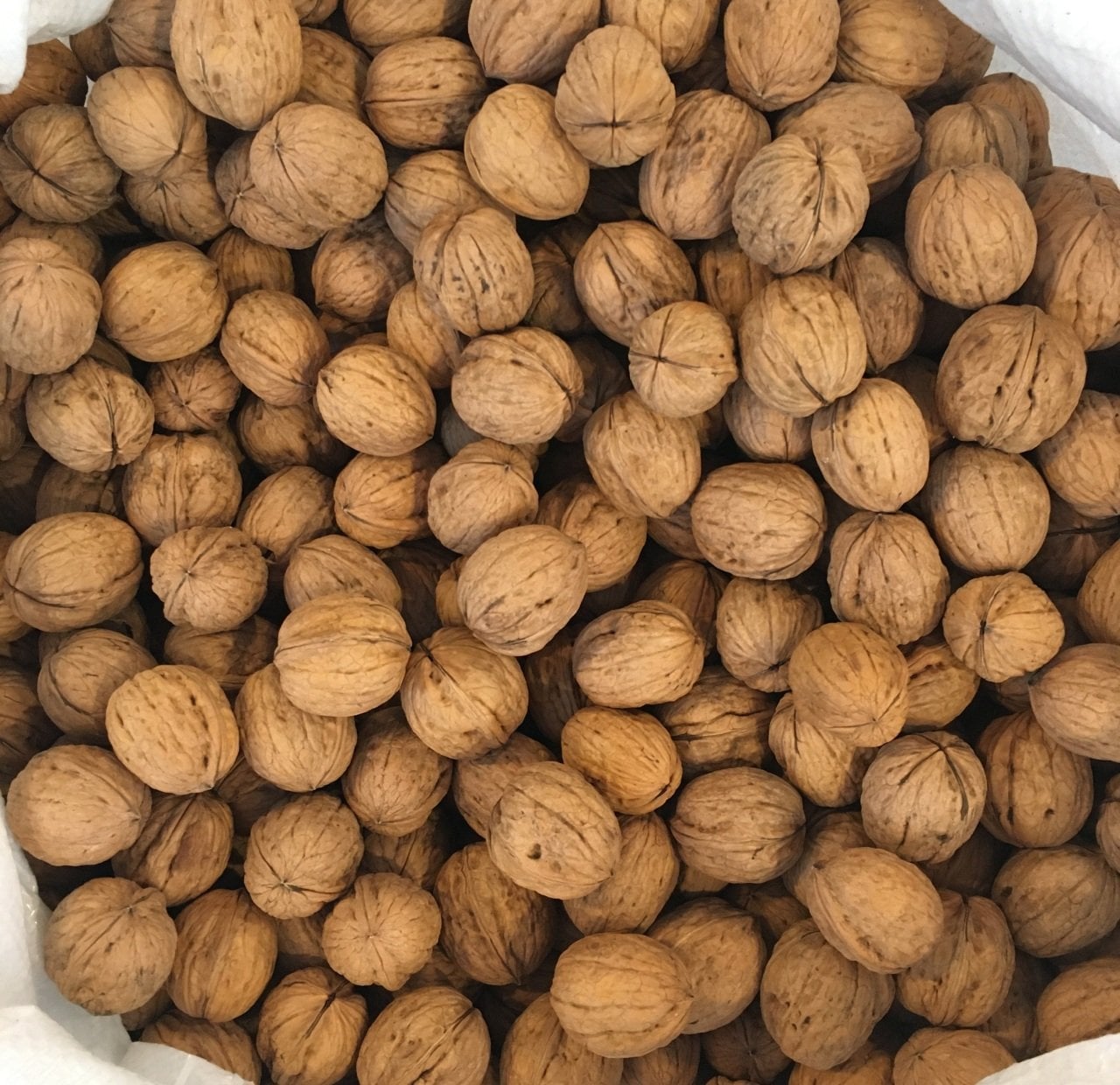 BAYRAMİÇ Kabuklu Ceviz 1 KG
