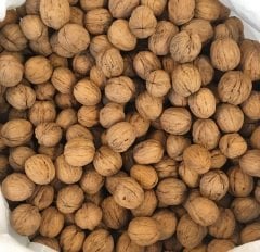 BAYRAMİÇ Kabuklu Ceviz 1 KG