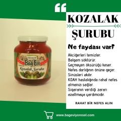Kozalak Şurubu 450 gr (ŞEKERSİZ)