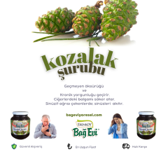 Kozalak Şurubu 450 gr (ŞEKERSİZ)