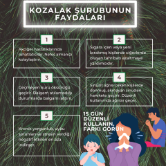 Kozalak Şurubu 450 gr (ŞEKERSİZ)