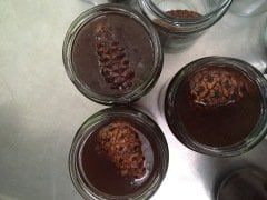 Kozalak Şurubu 300 gr (ŞEKERSİZ)