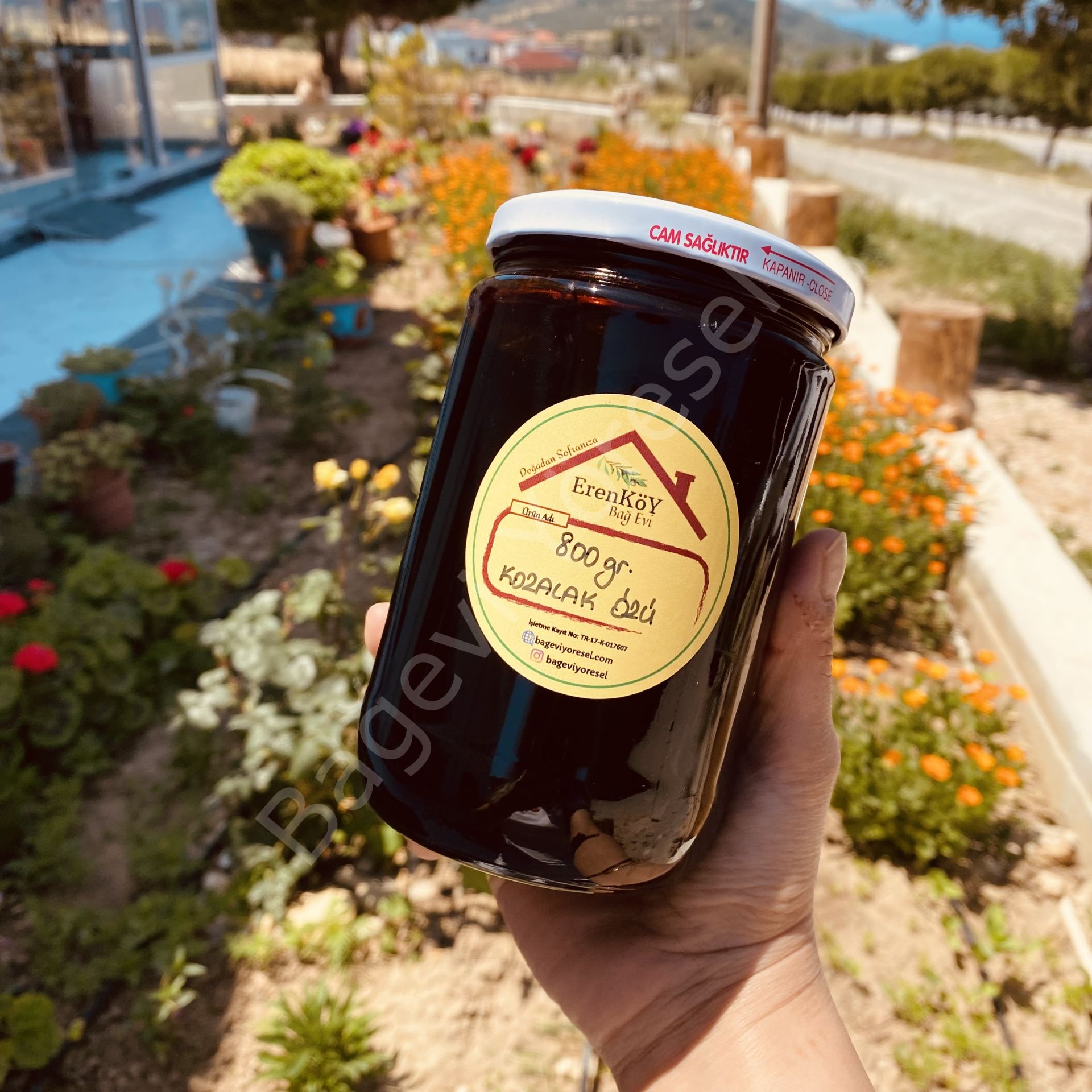Kozalak özü 800gr- Pancar Şekeri İlaveli