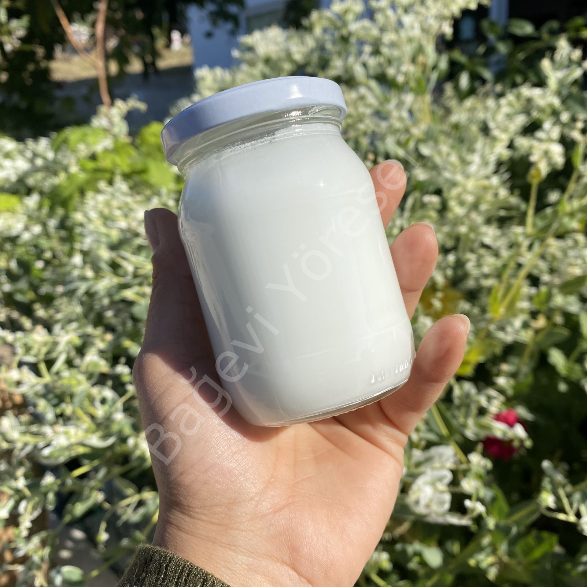 Damla Sakızı Reçeli 230gr