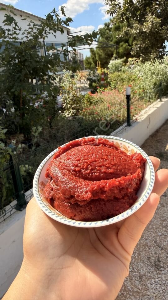 4200gr Domates Salçası (yeni sezon)