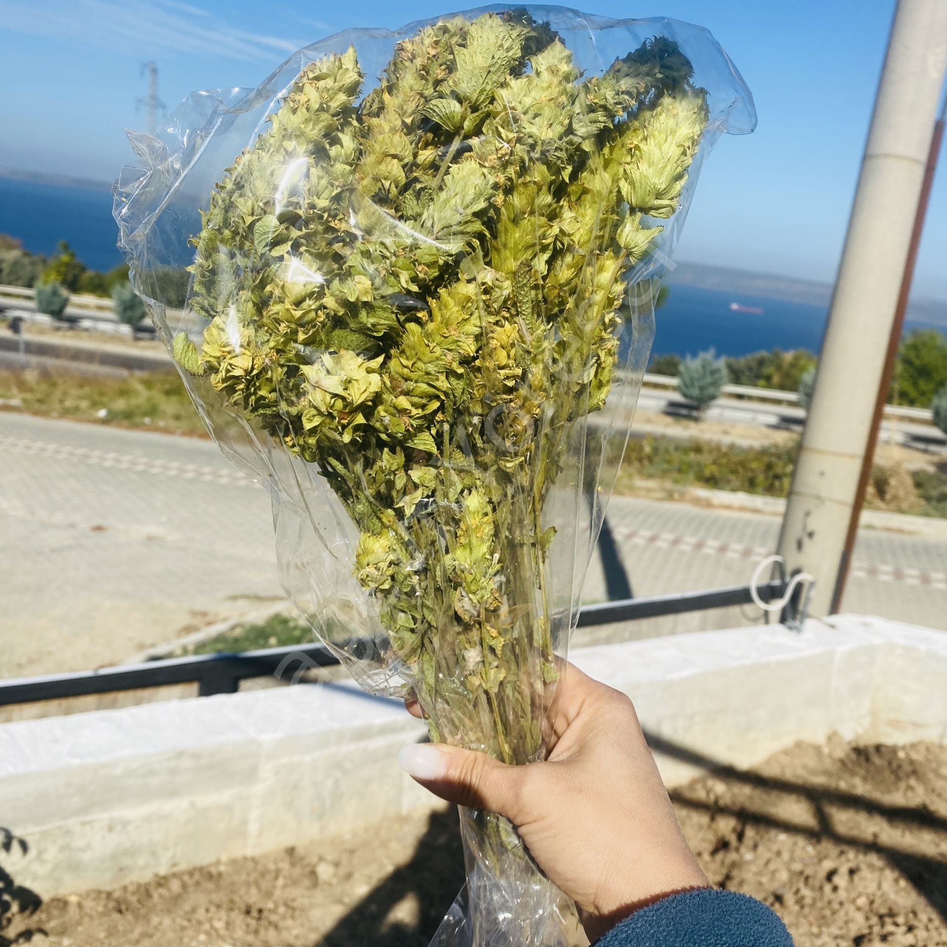 Tomurcuk Adaçayı Demet