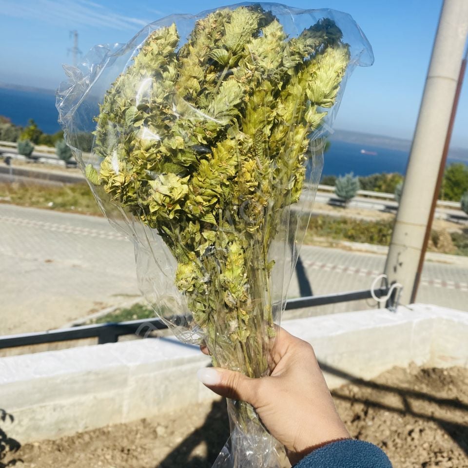 Tomurcuk Adaçayı Demet