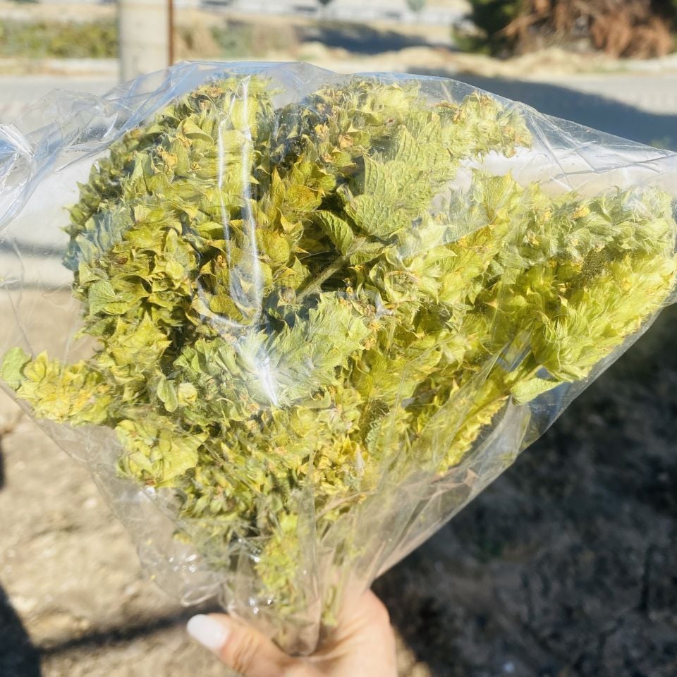 Tomurcuk Adaçayı Demet