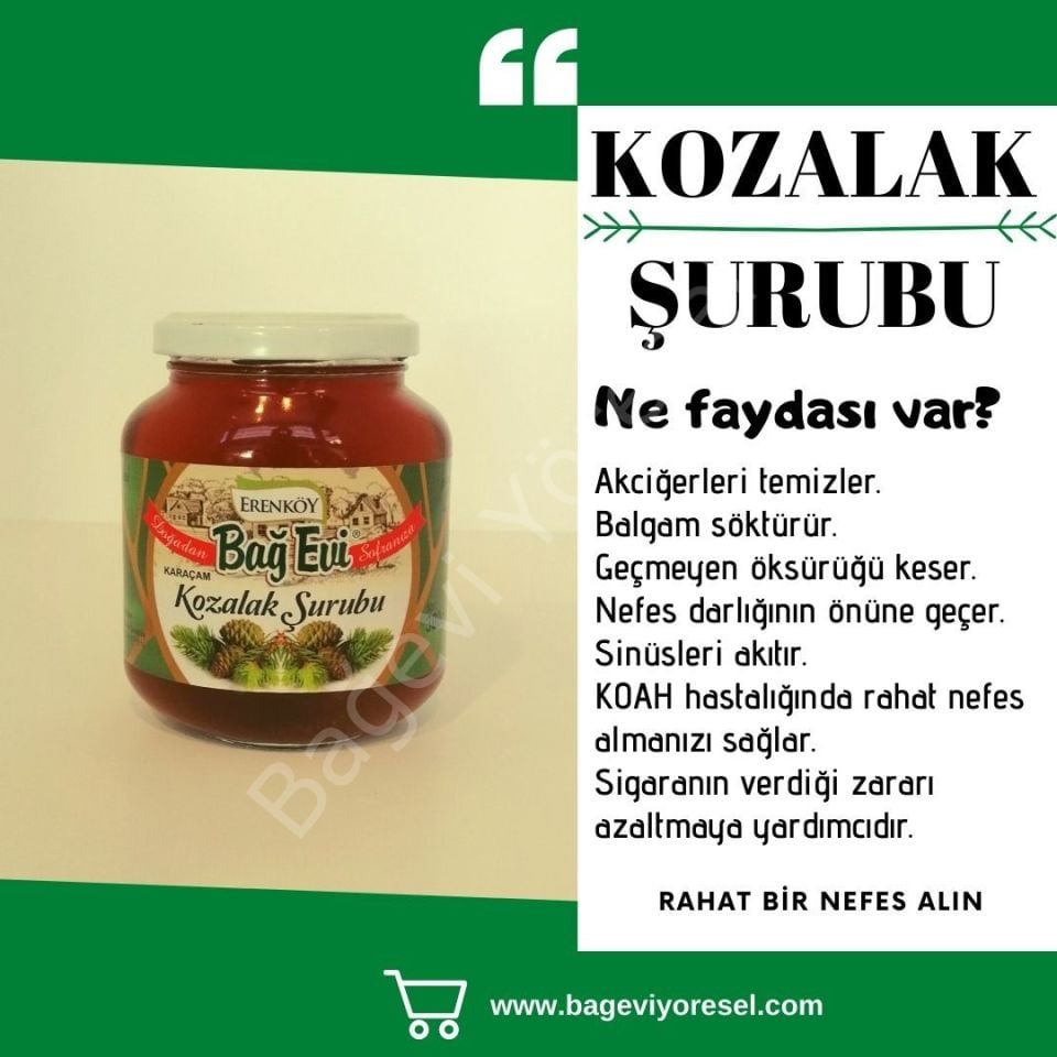 2 adet 300gr Kozalak Şurubu (ŞEKERSİZ)
