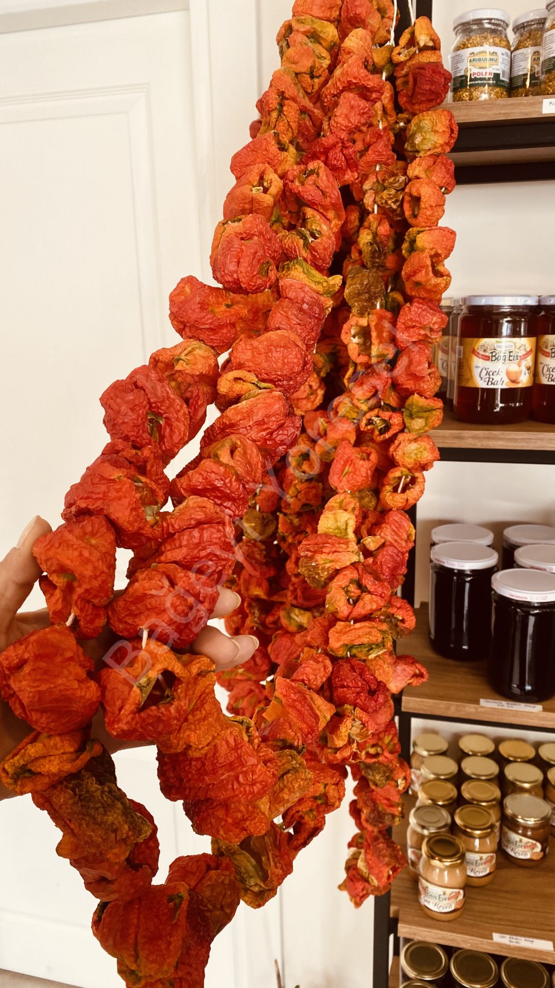 Kuru Dolmalık Biber 1 dizi