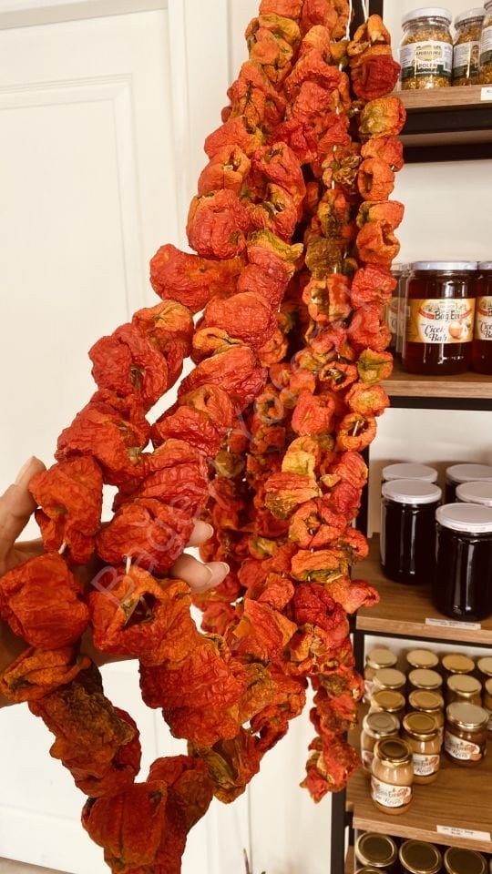 Kuru Dolmalık Biber 1 dizi