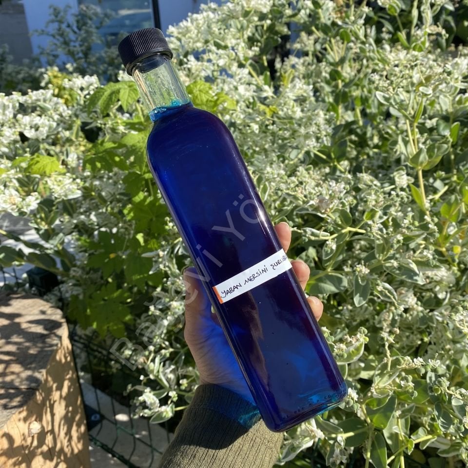 YABAN MERSİNİ ŞURUBU ( yabanmersini özü) 650gr