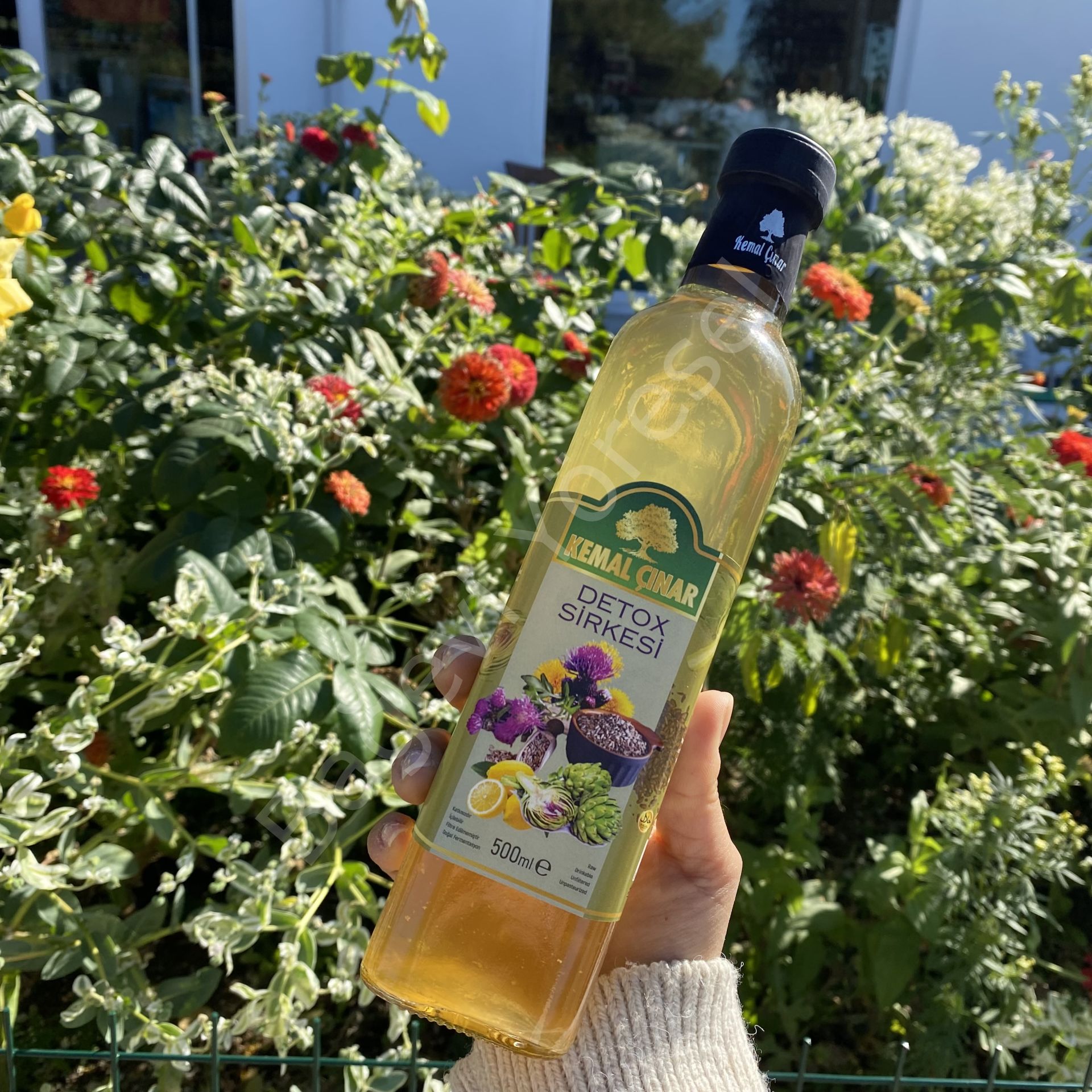 Detoks Sirkesi 500ml