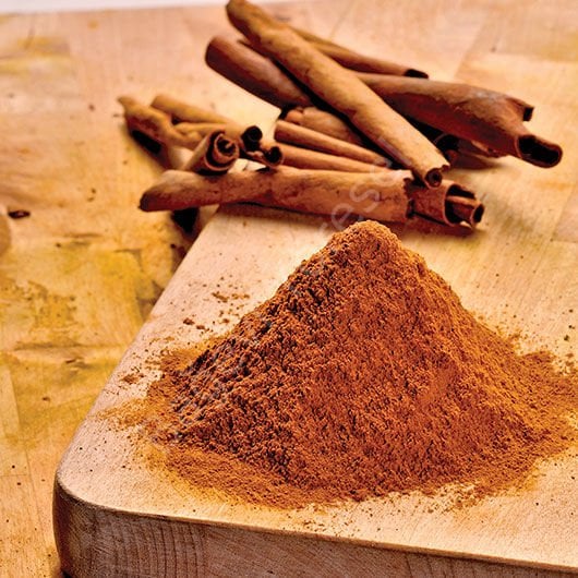 TOZ Tarçın 100gr