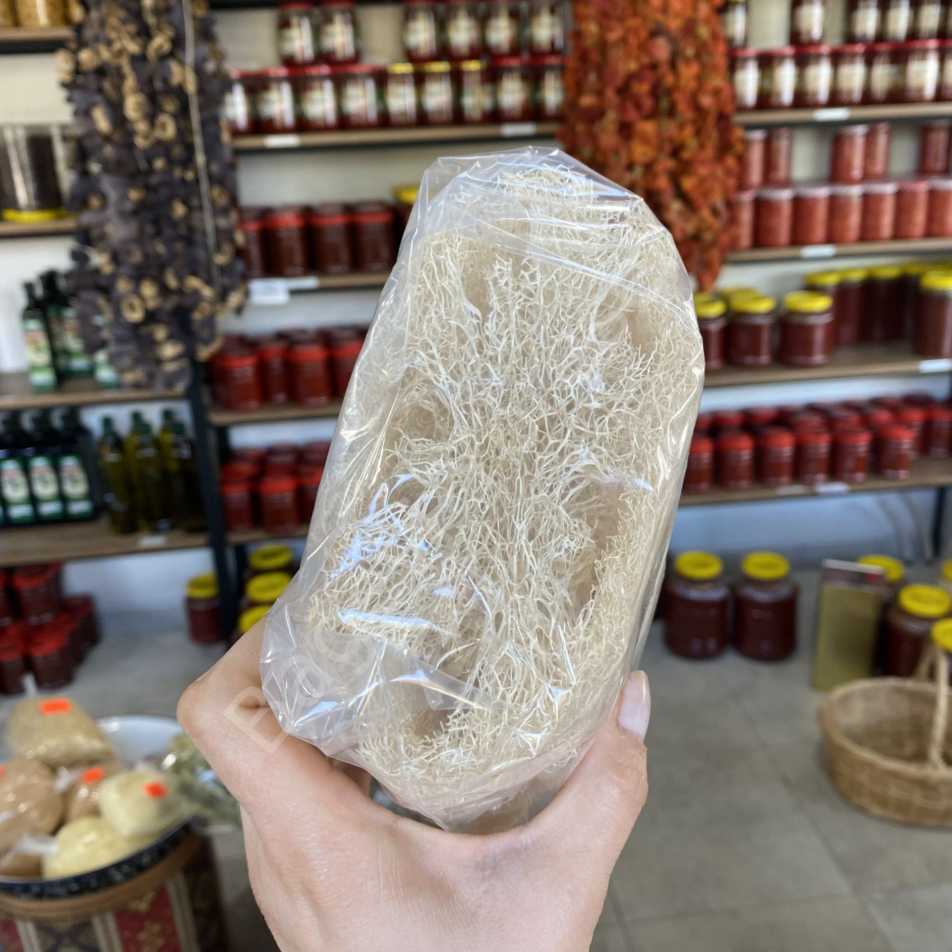 Doğal Kabak Lifi 1 adet