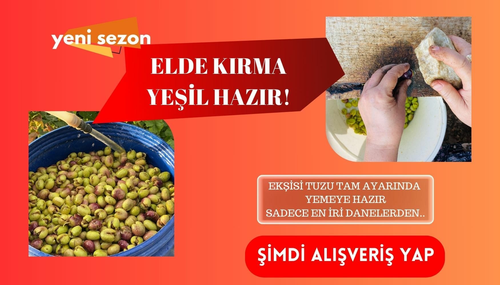 KIRMA ZEYTİN