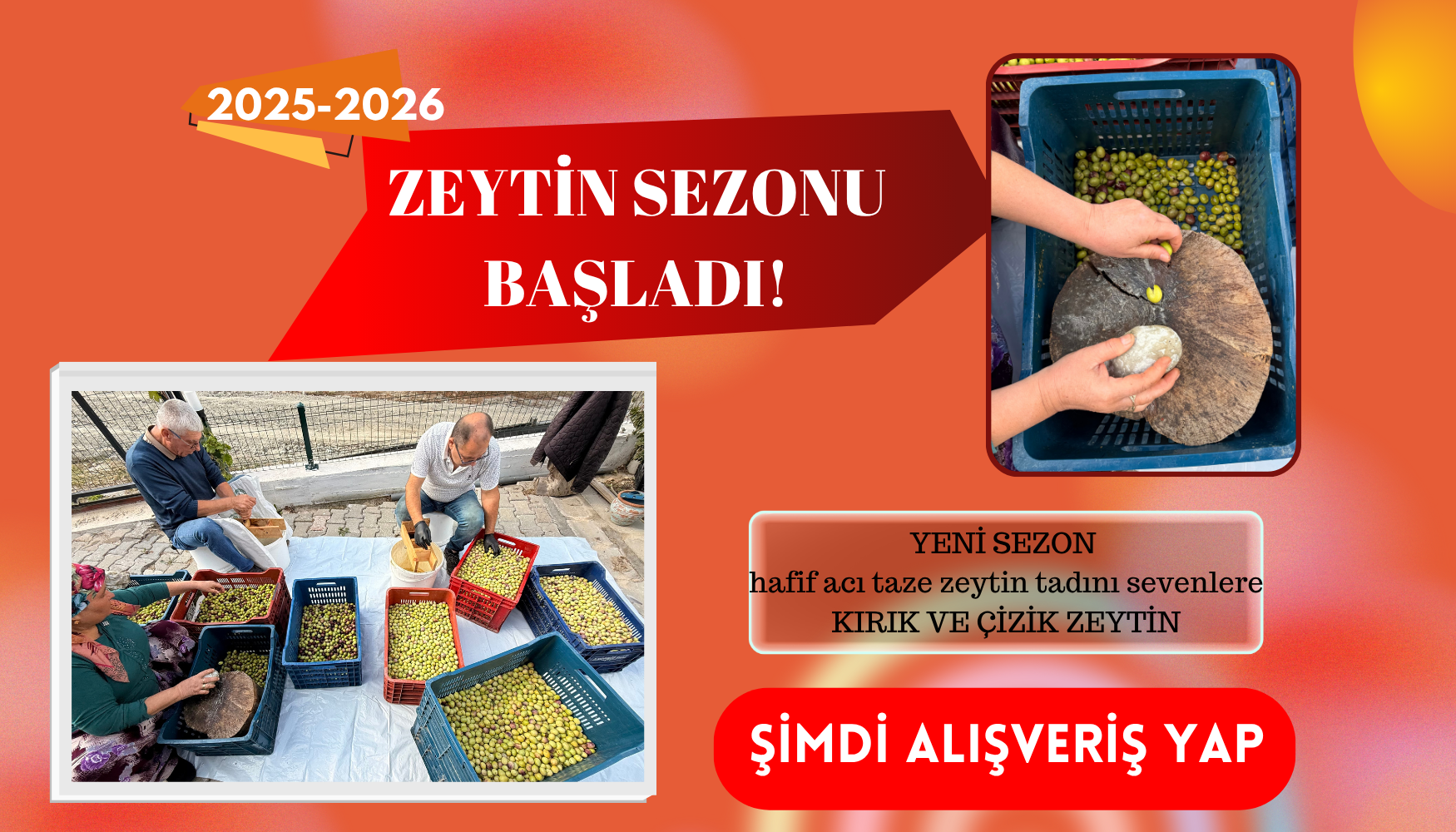 KIRMA ZEYTİN
